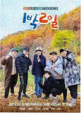 年下悬疑分类封面